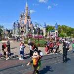 Disney Wrongful Death Lawsuit Disney+